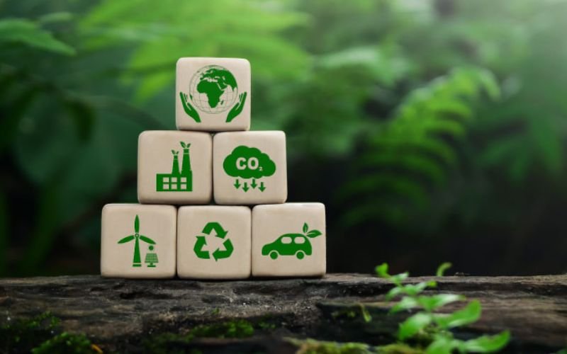 พลังงานทางเลือกกับความยั่งยืน