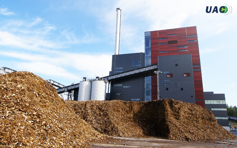 พลังงานชีวมวลและชีวภาพ