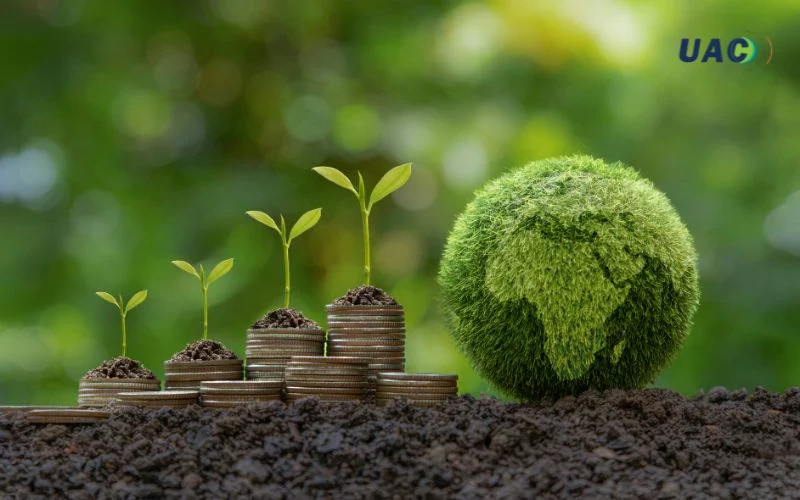 ธุรกิจ Carbon Neutral คืออะไร