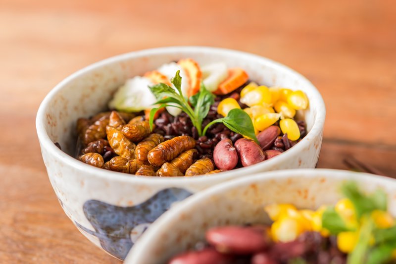 โปรตีนจากแมลง นวัตกรรมเกี่ยวกับสิ่งแวดล้อม