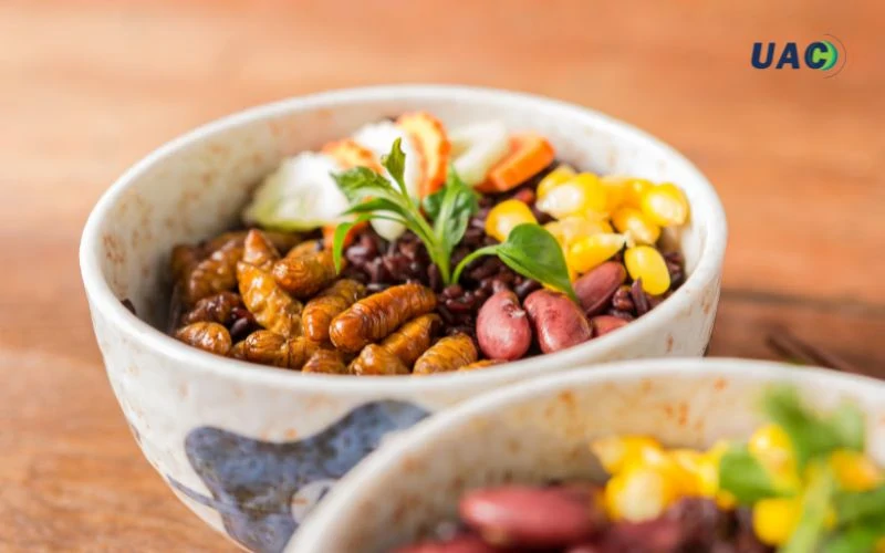 โปรตีนจากแมลง นวัตกรรมเกี่ยวกับสิ่งแวดล้อม